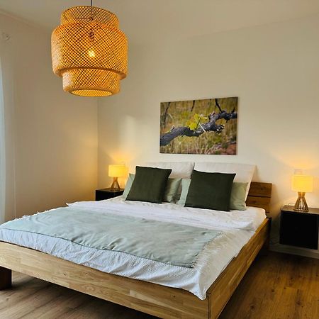 Moderne Ferienwohnung Mit Terrasse, Grill & Privatparkplatz Venningen Экстерьер фото